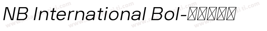 NB International Bol字体转换
